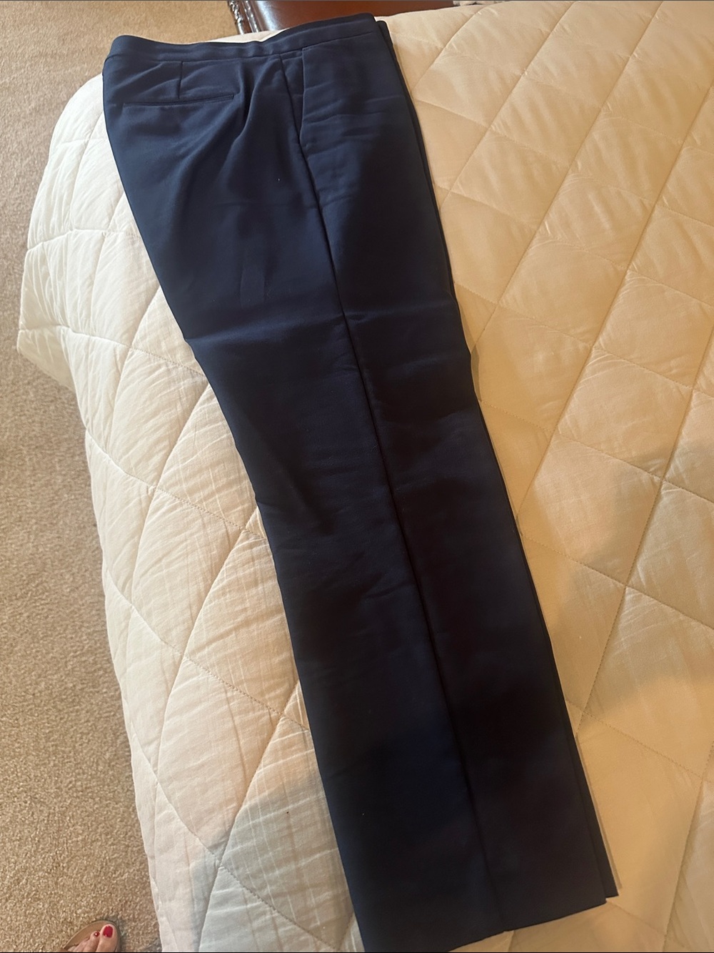 Ann Taylor womens Dark Navy Dress Pants